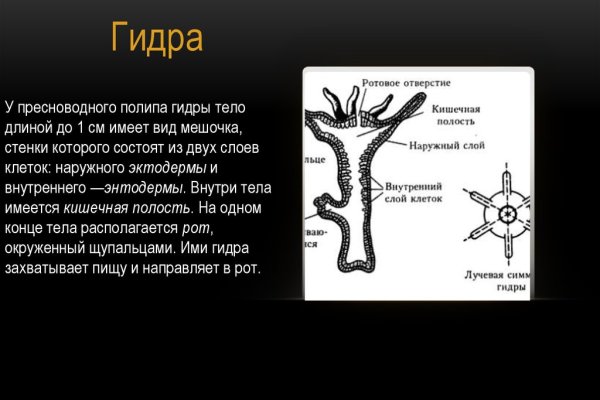 Кракен актуальное зеркало