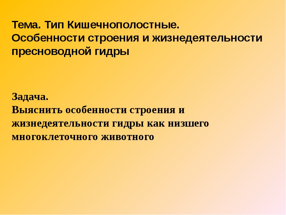 Как зайти на кракен в тор браузере