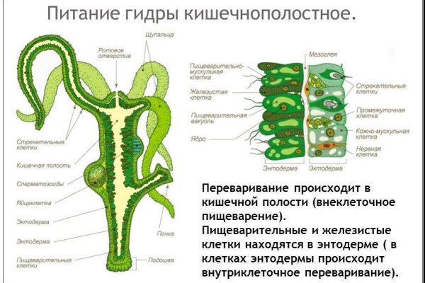 Кракен онион ссылка на тор