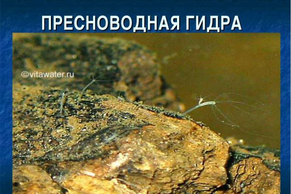 Кракен тор